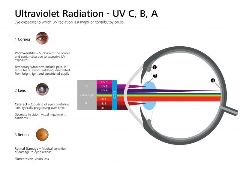Infográfico proteção UV - Photo Zeiss