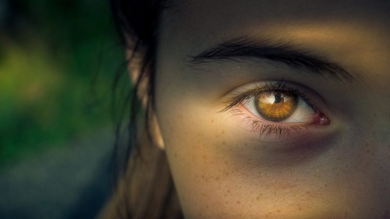 Menina com olhos amendoados na cor mel - Image by Helmut Strasil from Pixabay